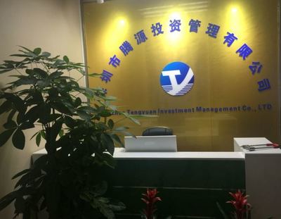 深圳市騰源投資咨詢管理 家用電器行業投資機遇與戰略分析